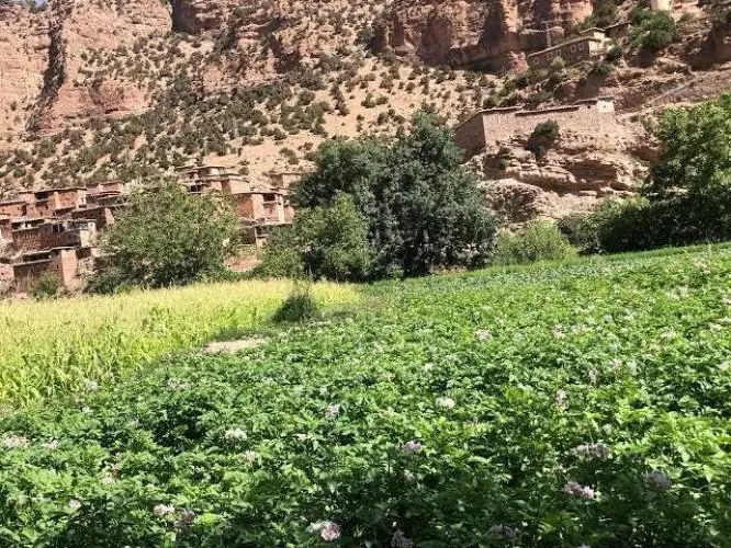 Trek de 7 jours - Vallees d'Ait Bouguemez & Ait Bououli De Marrakech a Marrakech