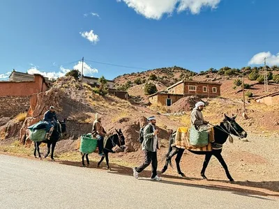 Youssef, guide de montagne certifie au Maroc